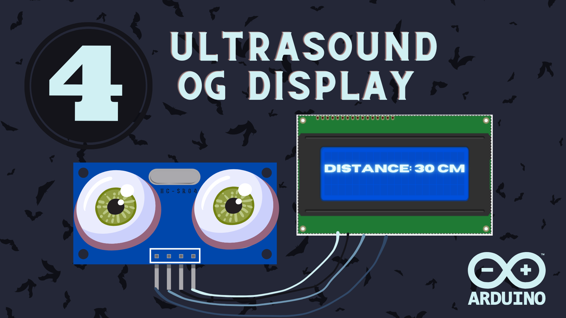 Image of Ultrasound og Display